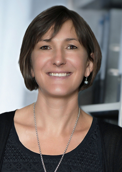 Sandra Müller: Finanzbuchhaltung